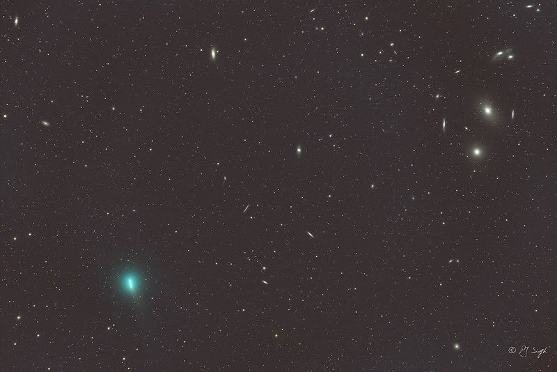 Comet 62P and Markarian's Chain of galaxies