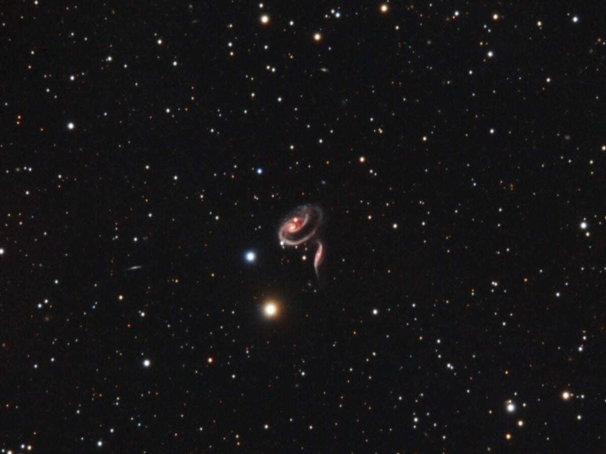 Arp 273 sits nicely in the field of view of my 9.25-inch Celestron and ZWO ASI2600MC Pro. This shot is cropped by only 9 percent, and consists of four hours of data taken at the Okie-Tex Star Party.