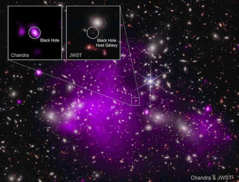 galaxy cluster Abell 2744 as seen by JWST and the Chandra X-ray Observatory