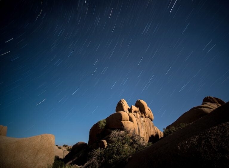 Star trails over Joshua Tree National Park