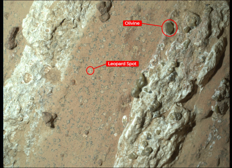 Cheyava Falls rock on Mars