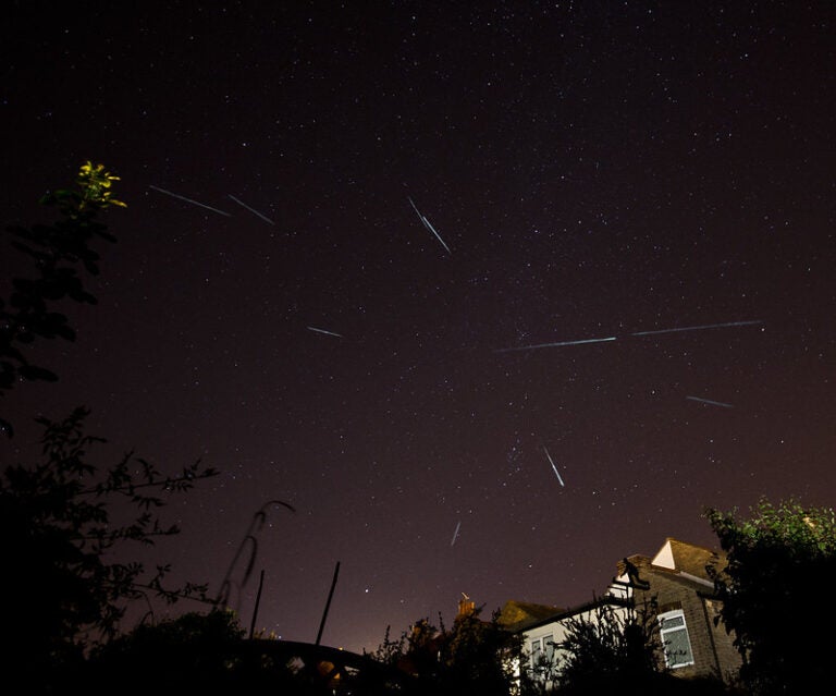 perseid meteors