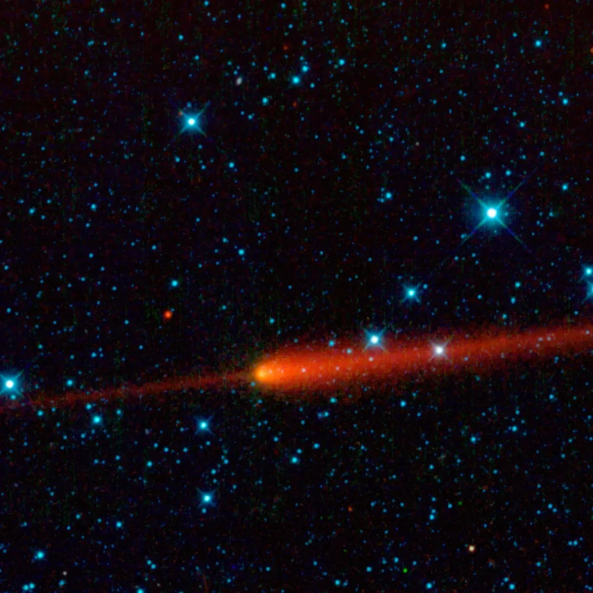 What looks like a narwhal is actually comet 65P/Gunn, which orbits the Sun every 6.8 years, captured here by NASA's WISE.