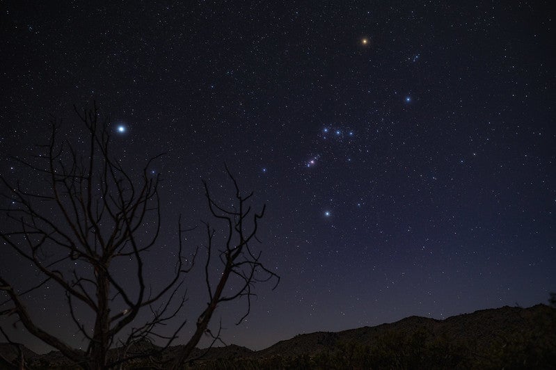 Canis Major and Orion