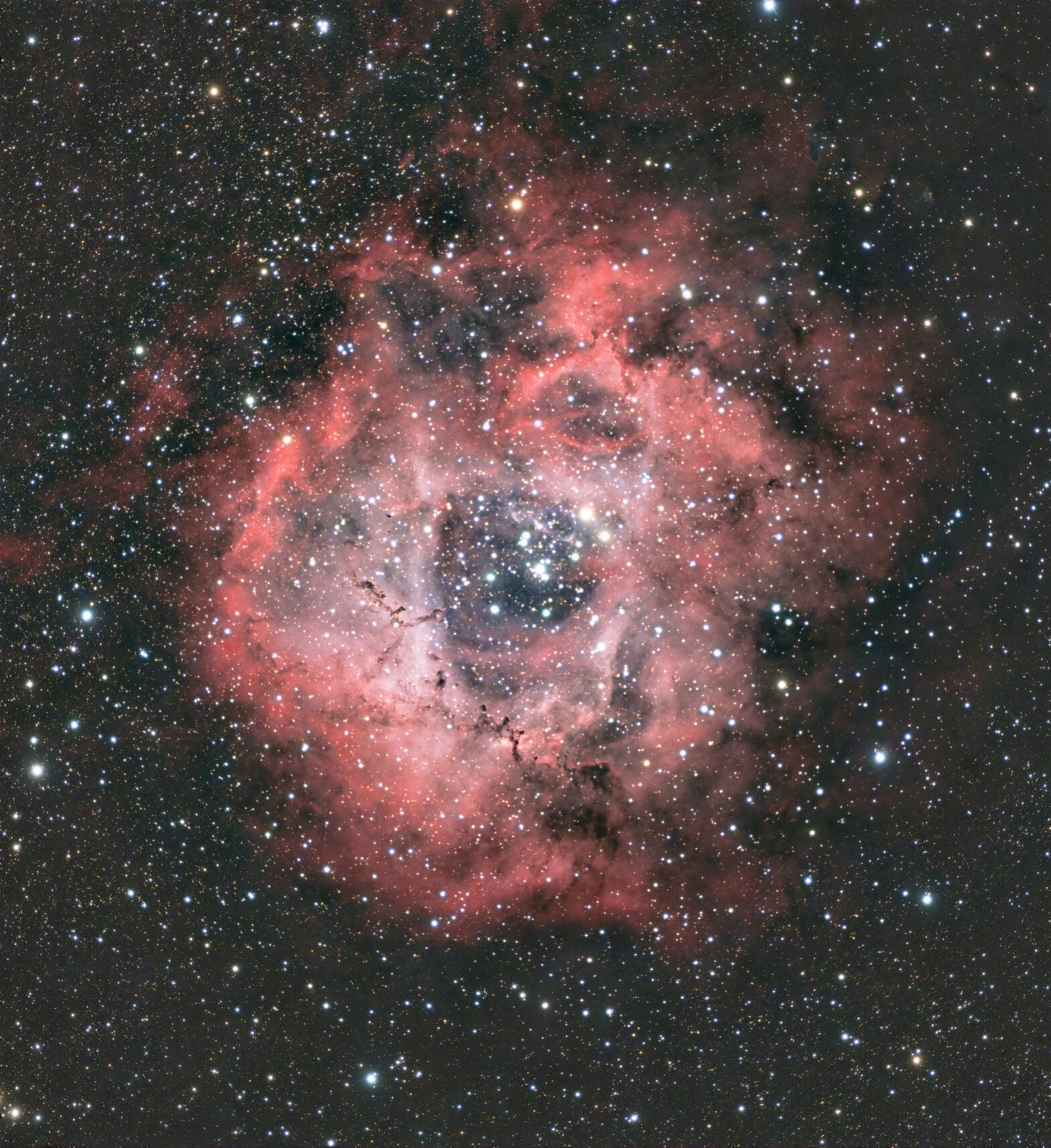 The author captured the Rosette Nebula under Bortle 2 skies with a ZWO ASI2600MC Pro camera on an Astro-Tech 72ED refractor atop an iOptron CEM40 mount. This image comprises 104 three-minute exposures.