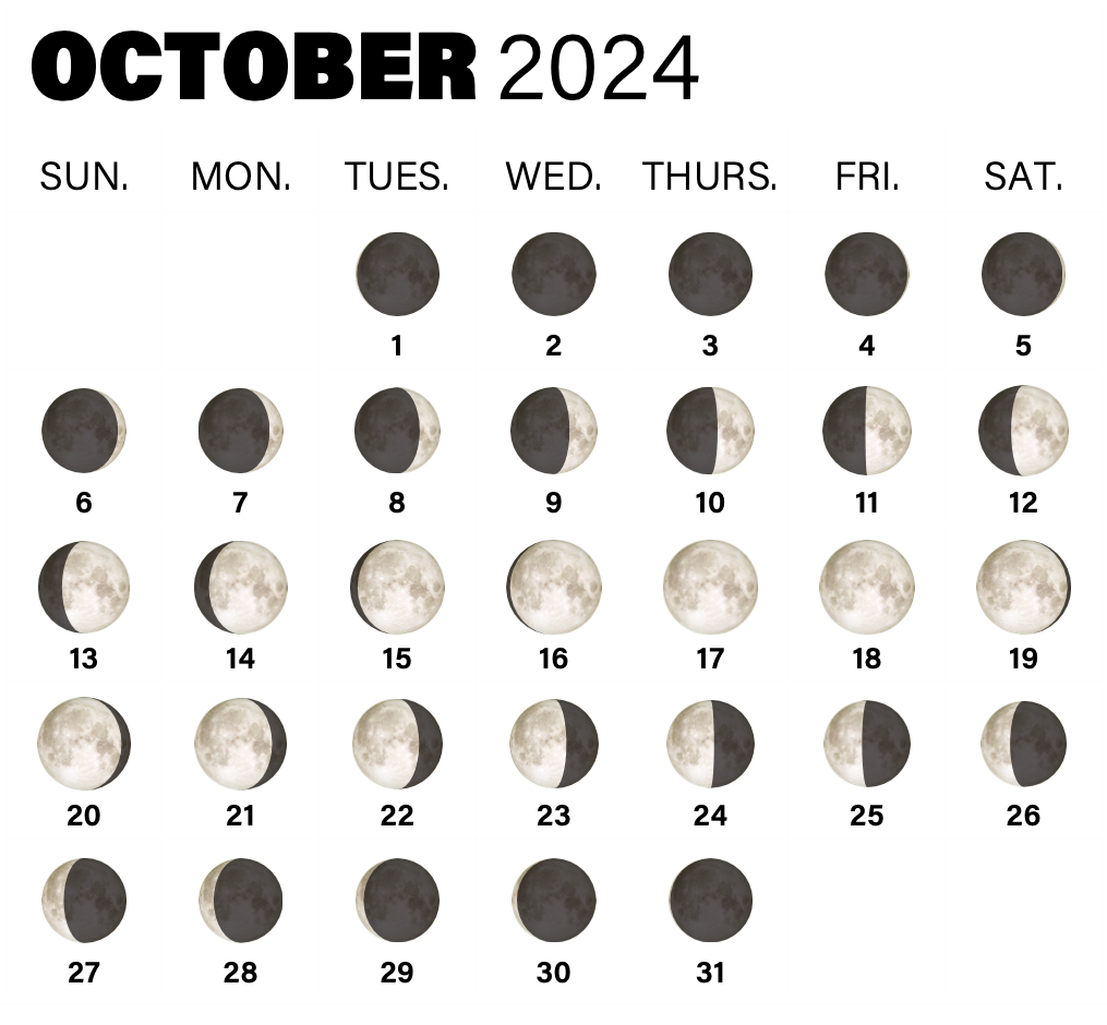 October 2024 What's in the sky this month?