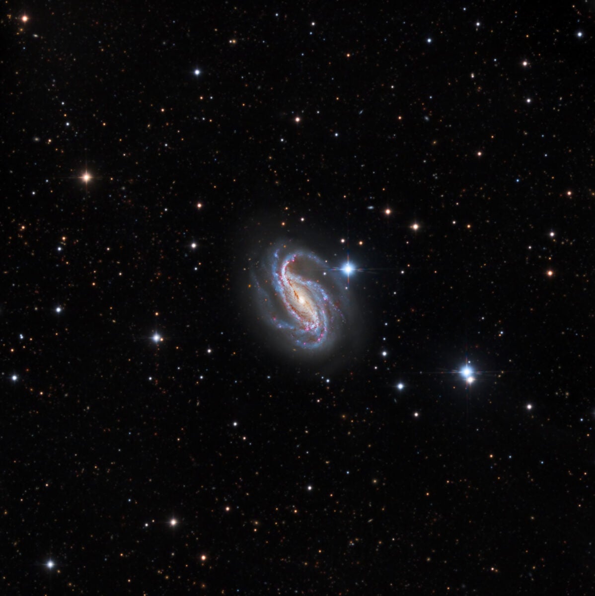 The frequently overlooked spiral NGC 613 lies around 86 million light-years away, but the thinness of its spiral arms help them stand out in an 11-inch telescope.