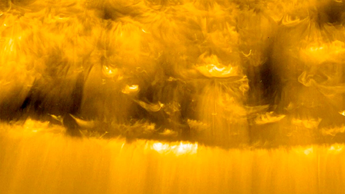 NASA and ESA dispatched the Solar Orbiter probe to take the closest-ever images of our Sun and help unravel several mysteries, including the composition and generation of the solar wind. In March 2022, the craft imaged the region inside a coronal hole near the Sun’s south pole in ultraviolet light. Within the hole, researchers discovered numerous short-lived jets, called picoflares, each spewing plasma out into space — perhaps the origin of the solar wind. In the mosaic, which is shown in negative, each jet appears as a dark streak. 