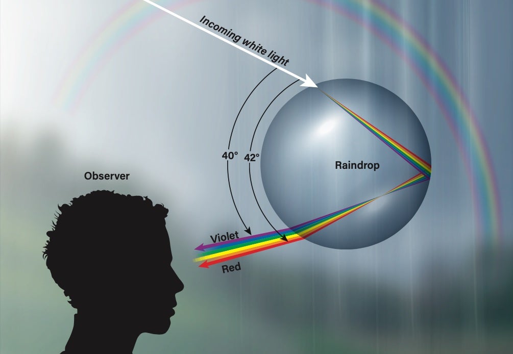 As sunlight enters a raindrop, it first refracts, which separates the white light into its different visible wavelengths. It then reflects off the interior, and is finally refracted again out of the droplet. To form a full rainbow arc, an estimated trillion raindrops are needed. 