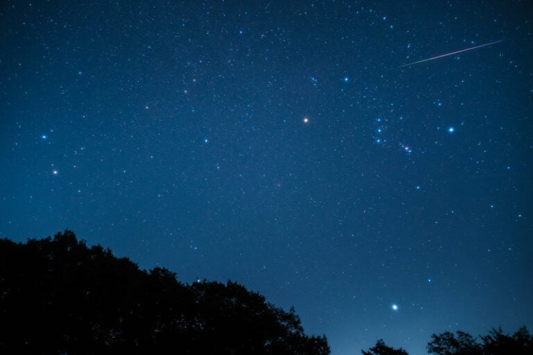 Orionid meteor in the sky