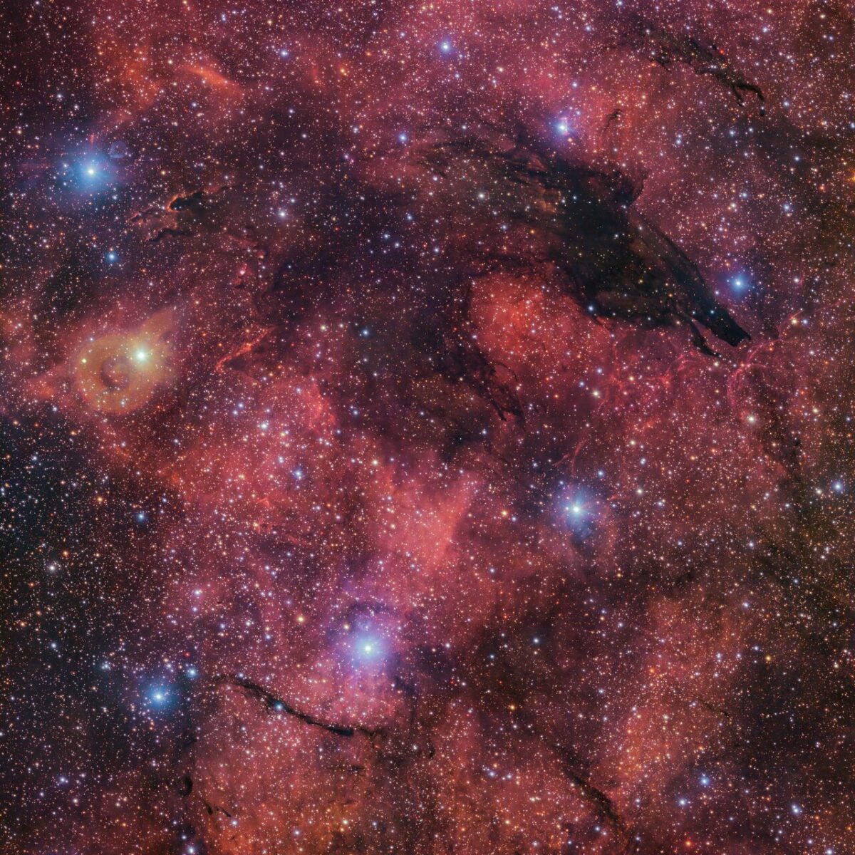 Dark Wolf Nebula and Gum 55