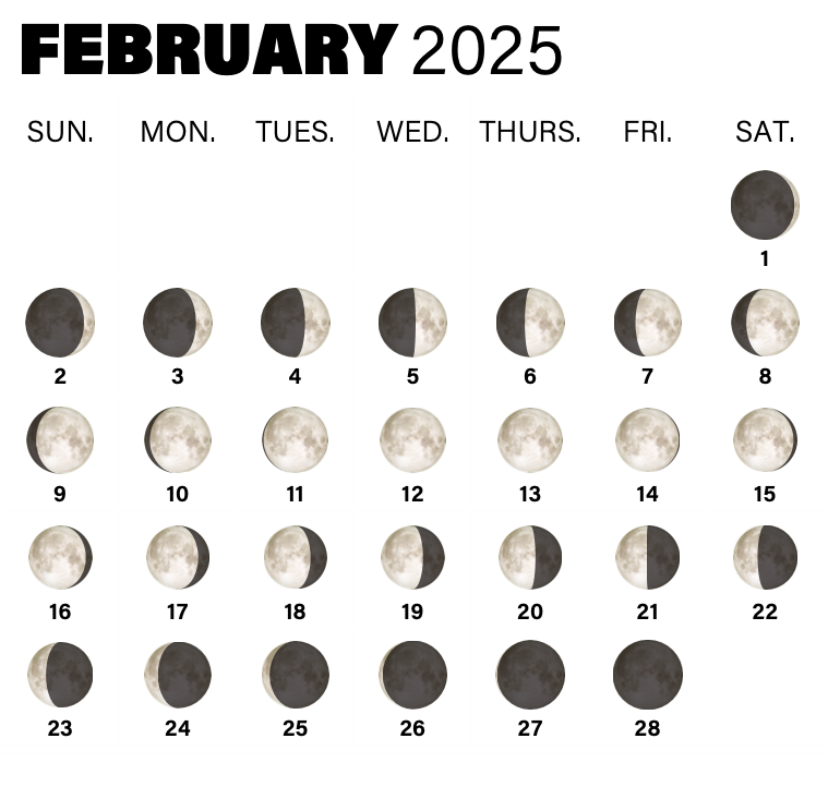 Moon phases in February 2025