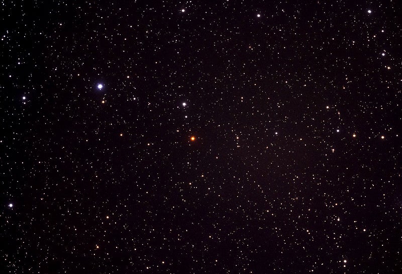 Hind's Crimson Star