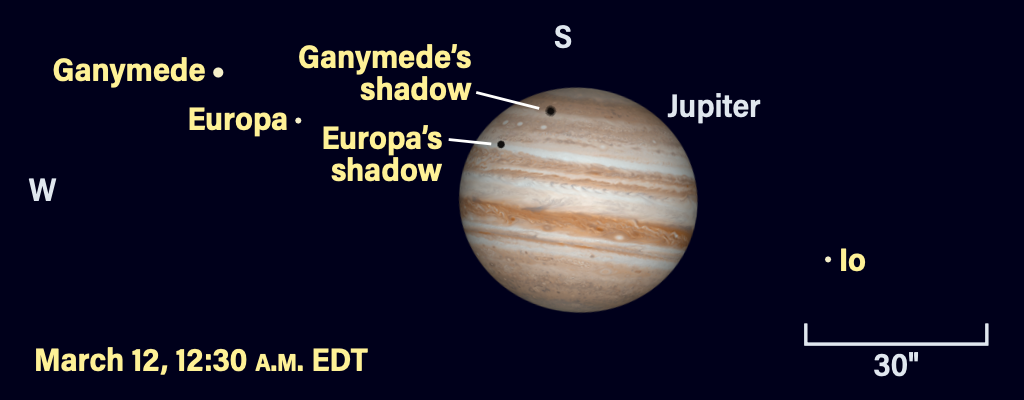 Jupiter and moons, March 12, 2025, 12:30 AM EDT