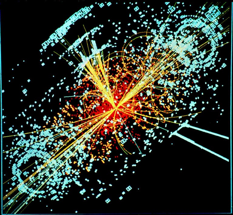 Bubble chamber particle tracks