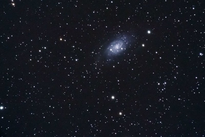 NGC 2403