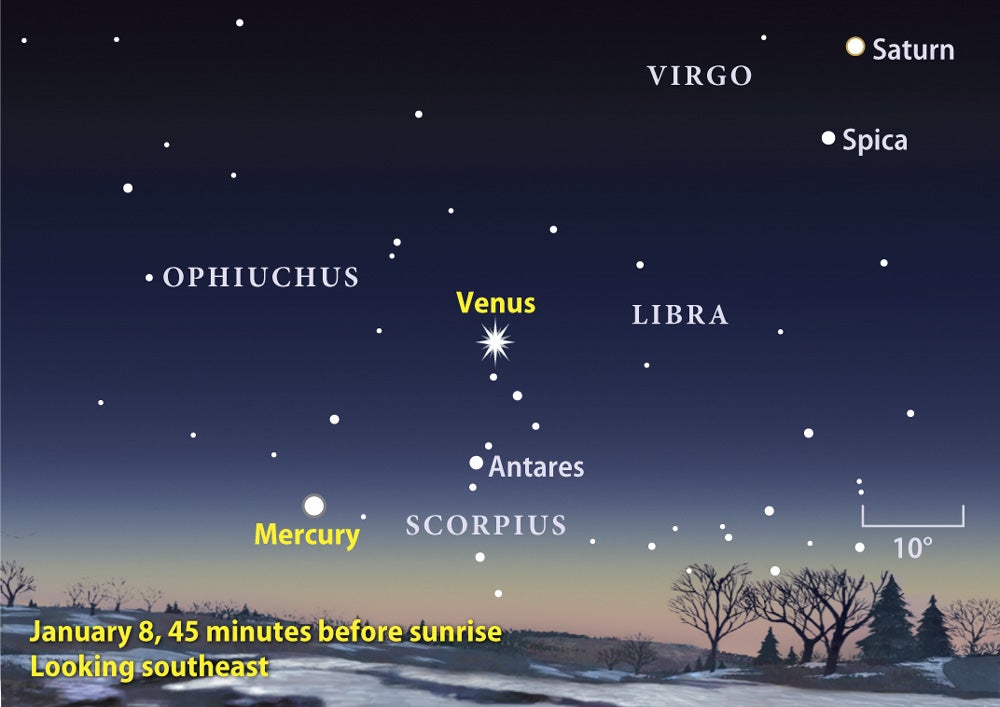 Venus and Mercury gleam in the morning sky | Astronomy.com