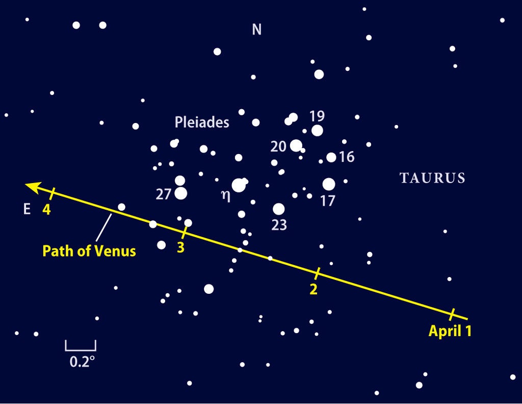 Venus appears highest in the sky for 2012 | Astronomy.com