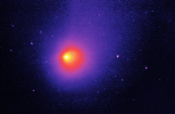 Common Comet Star - Snorkelverse