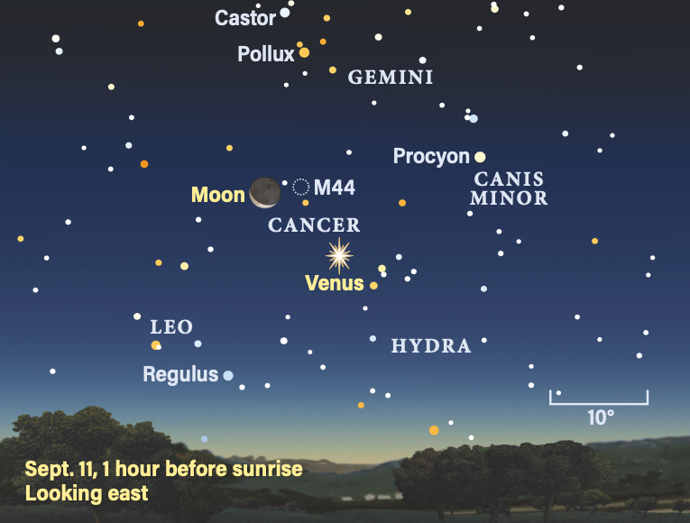 The Sky This Week from September 8 to 15: The Moon, Venus, and the bees ...