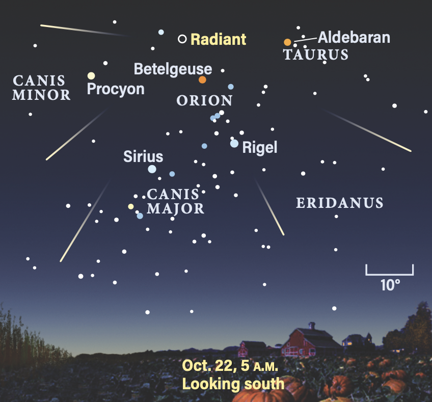 The Sky This Week from October 20 to 27: Catch the Orionids