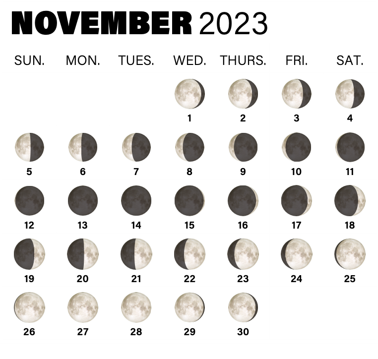 Sky This Month: November 2023