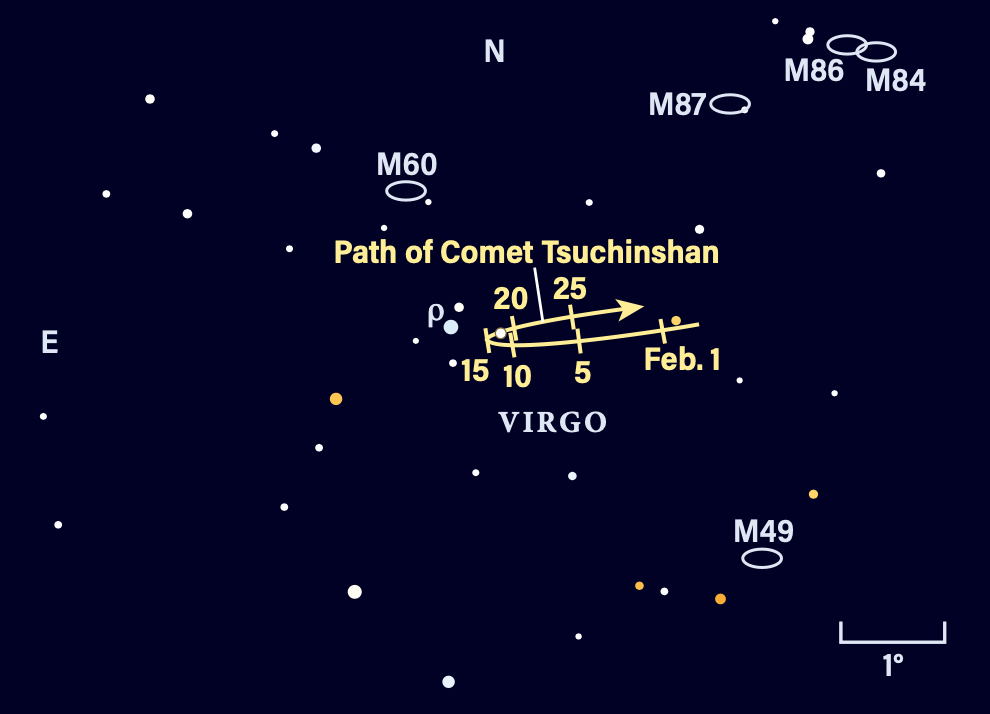Eventos Astronômicos Fevereiro 2024, What's in the Sky Tonight, Night Sky  Tonight