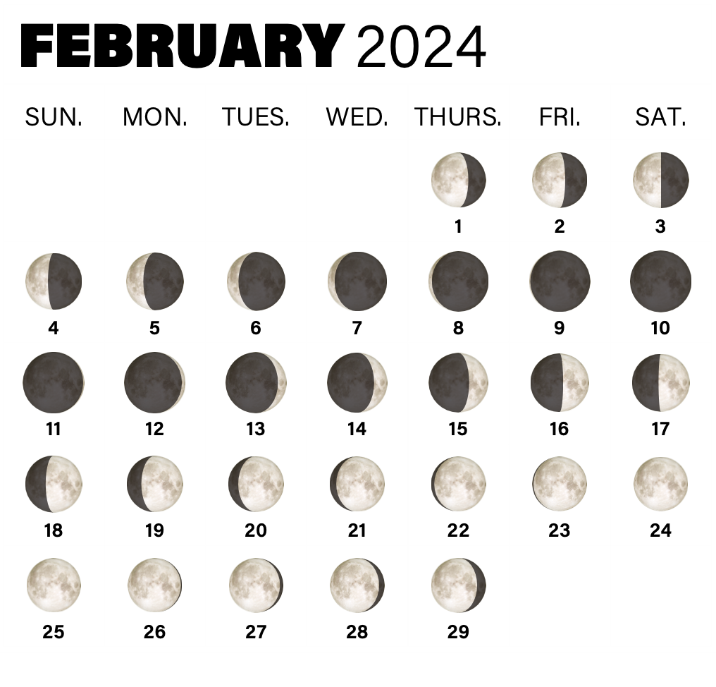 Sky This Month February 2024