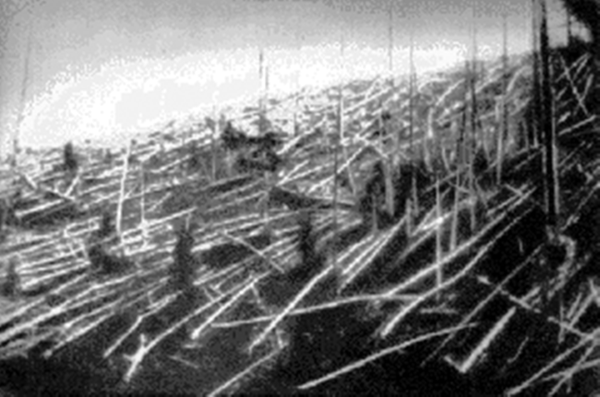Fallen trees at Tunguska in 1927.