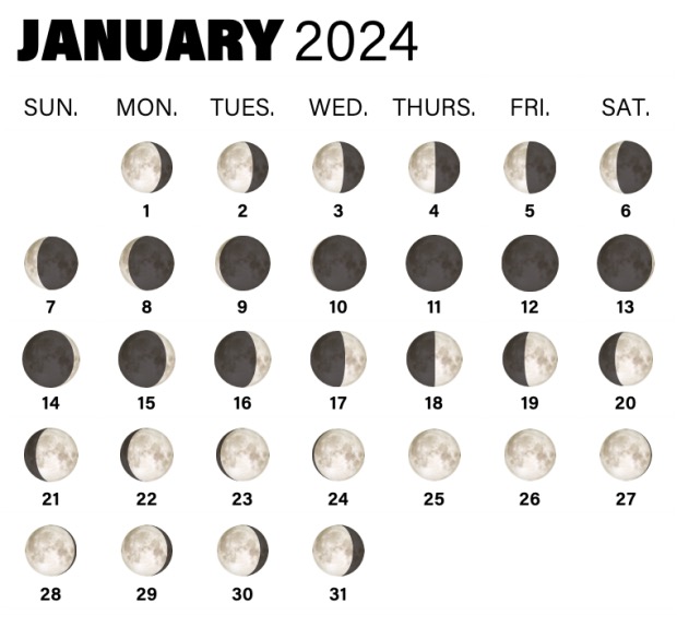 Phases Of The Moon January 2024 ?resize=620%2C574