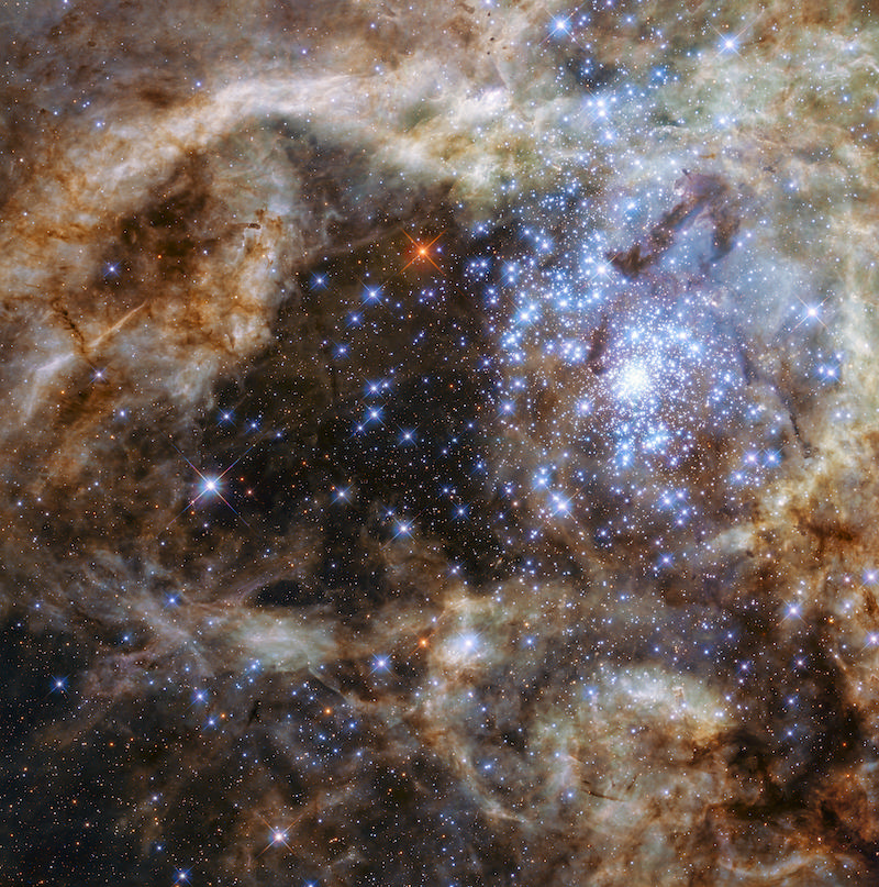 The R136 star cluster at the heart of the Tarantula Nebula